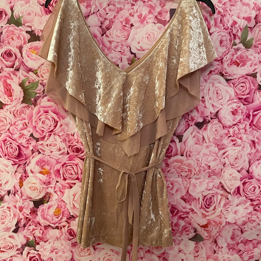White House Black Market Velvet Ruffle Blouse in Beige